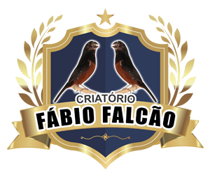 Criatório Fábio Falcão - Curió Clássico - Minas Gerais